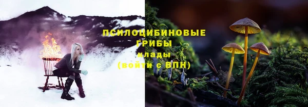 дурь Алексеевка