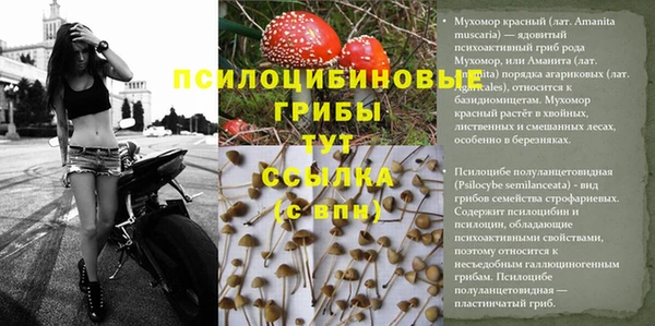 дурь Алексеевка
