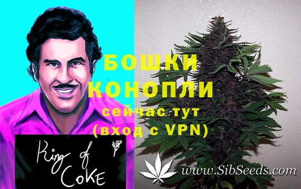 дурь Алексеевка